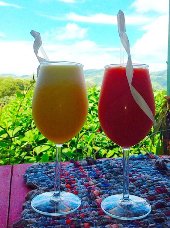 Fresh juices at Toad Hall with an awesome view.